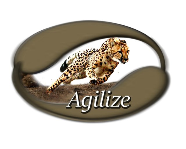 Agilize